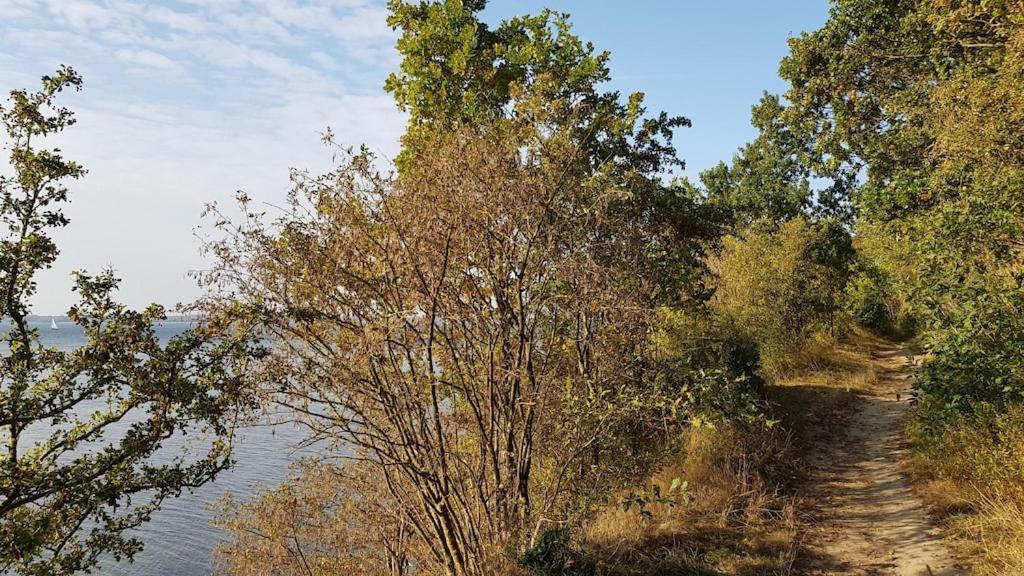 Ferienwohnung Seeblick Altefähr Dış mekan fotoğraf
